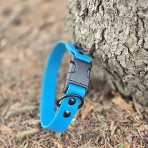 Dog Collar with Quick Release Buckle